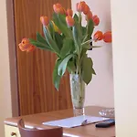 Hotel San Geminiano 2*