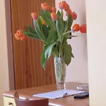 San Geminiano Hotel 2*