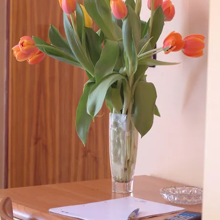 San Geminiano Hotel Módena