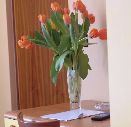 Hotell San Geminiano 2*