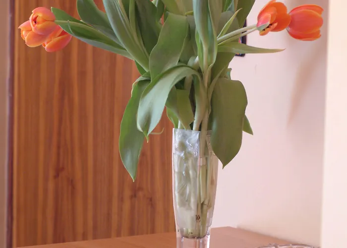 San Geminiano Hotell Modena