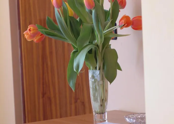 San Geminiano Hotell 2*